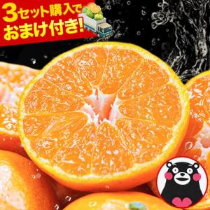 みかん 訳あり 送料無料 送料無 1.5kg 熊本みかん 熊本 熊本産 果物 旬 フルーツ 家庭用 柑橘 《3-7営業日以内に出荷(土日祝除く)》
