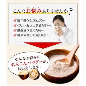 レンコンパウダー レンコン 蓮根 100g 送...の詳細画像1