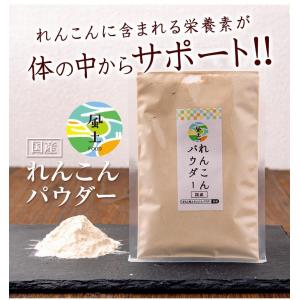 レンコンパウダー レンコン 蓮根 100g 送...の詳細画像2