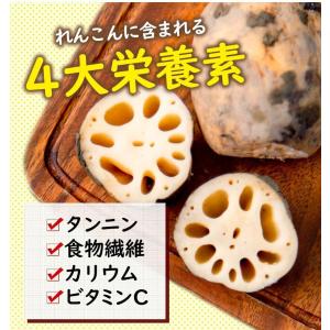 レンコンパウダー レンコン 蓮根 100g 送...の詳細画像4