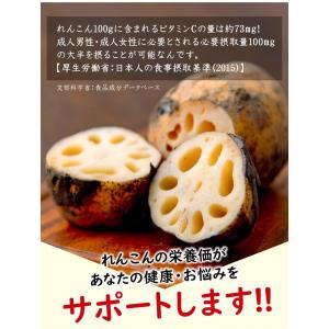 レンコンパウダー レンコン 蓮根 100g 送...の詳細画像5