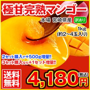 マンゴーの本場宮崎県産 訳あり極甘完熟マンゴー1kg 約2-4玉 2セットで500gおまけ増量 複数購入は1箱おまとめ 6月中旬頃-7月上旬頃より順次出荷