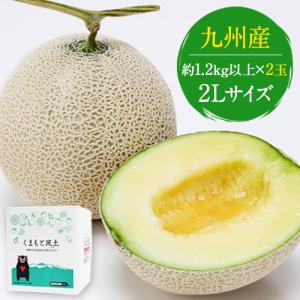 「専用」メロン様 お中元 ギフト 2025 マスクメロン メロン フルーツ 贈り物 熊本県産 秀