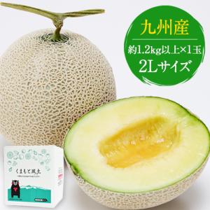 【父の日早割⇒1200円OFF】ギフト 九州産 マスクメロン 秀品 1玉 2Lサイズ 1.2kg以上 送料無料 メロン 高級メロン フルーツ 《ご選択された日程でお届け予定》｜ご当地風土 ヤフー店