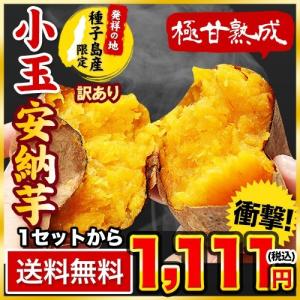 長期熟成 小玉限定 本場種子島産 訳あり 安納芋 1.2kg 小玉 2S〜3Sサイズ限定 送料無料 さつまいも  3-7営業日以内に出荷予定(土日祝日除く)