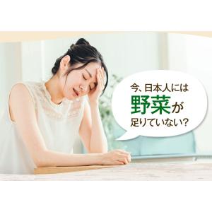 セールで半額1000円ポッキリ 青汁 国産 乳...の詳細画像3