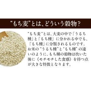 もち麦 950g 大麦 βグルカン 含有 カナ...の詳細画像2