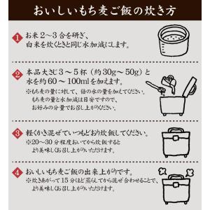 もち麦 950g 大麦 βグルカン 含有 カナ...の詳細画像4