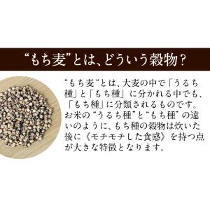国産 もち麦 TVで話題 の 大麦 送料無料 ...の詳細画像2
