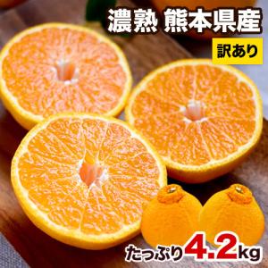 お徳用 濃熟 デコ みかん たっぷり4.2kg 速攻出荷 デコポン 同品種 熊本県産 旬 の 柑橘 産地直送 6月上旬-6月中旬頃より順次出荷