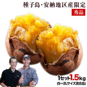 TVで紹介 安納いも発祥の種子島安納地区 トロっと甘い安納芋（秀品）1.5kg送料無料（S-2Lサイズ混合品）3月中旬頃-3月下旬頃より順次出荷