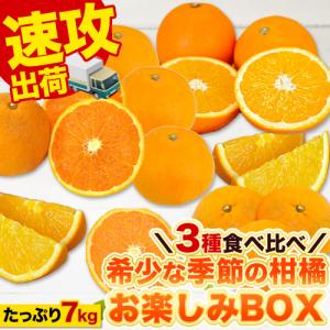 速攻出荷 季節の柑橘 お楽しみBOX 3種 柑橘 たっぷり7kg 送料無料 みかん 清見 甘夏 ネーブル 訳あり 福袋 1‐5営業日以内に発送(土日祝除く)