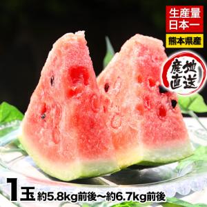 送料無料 訳あり品 スイカ日本一の産地・熊本産お徳用すいか1...