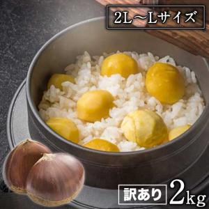 栗の季節到来 訳あり利平栗2kg(2L-Lサイズ) 送料無料 2セット購入で+1kgおまけ増量 熊本県産 10月上旬-10月末頃より順次出荷