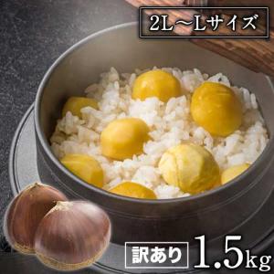 販売解禁 栗 利平栗  訳あり 1.5kg 2L~Lサイズ 高級和栗