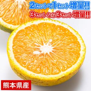 スイートスプリング 1.5kg 訳あり 熊本県産 送料無料 旬 の みかん   (3L〜Sサイズ/3...