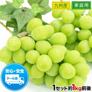シャインマスカット 訳あり マスカット 約1kg (約1-4房前後入) 送料無料 家庭用 ぶどう 九州産 《7-14営業以内発送予定(土日祝除く)》