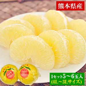 天草文旦 パール柑  ギフト 約3kg前後 送料無料 4L-3L / 5-6玉入 贈答用 お年賀 果物 フルーツ 12月中旬 -12月末頃発送予定