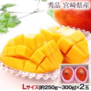 【早割クーポンで500円OFF】母の日 ギフト 本場・宮崎県...
