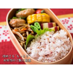 国産 二十一 雑穀米 1セット200g×2袋 ...の詳細画像4