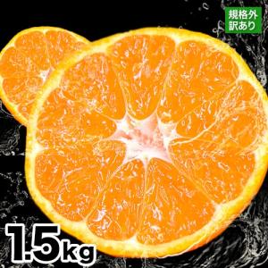 【みかん1箱から送料無料】訳ありお試し完熟みかん1.5kg（3セット購入で3セット分増量）複数購入の場合1-2箱におまとめ《1月中旬-末頃より出荷開始》