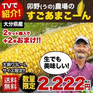 超人気TV番組で話題 フルーツ並みの甘さ 卯野農場のすごあまこーん送料無料 1セット5本入 ※複数セット購入はおまとめ配送 クール便 8月上旬-8月下旬頃より出荷