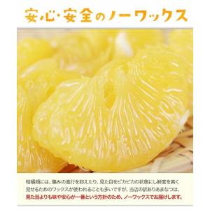 甘夏 みかん 1.5kg 送料無料 訳あり 熊...の詳細画像3