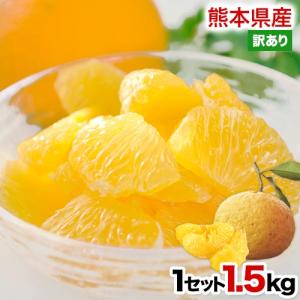 甘夏 みかん 訳あり 1.5kg 送料無料 熊本県産 旬 みかん 柑橘 果物 皮むき器プレゼント 《1-5営業日以内に出荷(土日祝除く)》 |