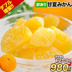 甘夏 みかん 訳あり 1.5kg 送料無料 熊本県産 旬 みかん 柑橘 果物 皮むき器プレゼント 《1-5営業日以内に発送予定(土日祝除く)》