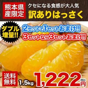 送料無料 訳ありはっさく柑(八朔・紅八朔)1.5kg 熊本県...