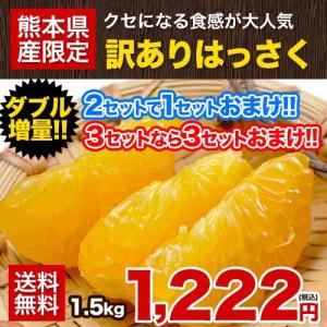 送料無料 訳ありはっさく柑(八朔・紅八朔)1.5kg 熊本県産 八朔みかん 3セット購入ならW増量※おまとめ配送 5月中旬-6月上旬頃より順次出荷