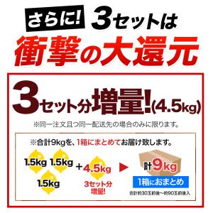 国産 レモン 訳あり 1.5kg 送料無料 国...の詳細画像4