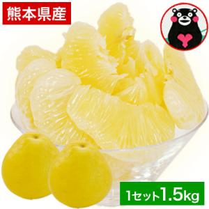 文旦 パール柑 訳あり 1.5kg フルーツ 送料無料 熊本県産 みかん パール柑 2セット購入で1セット 3セット購入なら3セット 増量  4月下旬-5月中旬頃より発送予定
