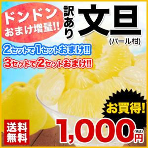 送料無料 訳あり文旦(パール柑・セレブ柑)2kgまろやかな甘さと爽やかな香りで大人気 熊本県産 2セット購入で1セットおまけ 4月中旬-5月上旬頃より順次出荷
