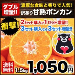 甘熟ポンカン 1セット1.5kg 送料無料 2セットで1セット分おまけ 大中小サイズ無選別 訳あり 複数購入はおまとめ配送 2月上旬-2月末頃より出荷