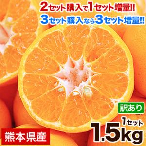 今シーズン終了間近 ポンカン 甘熟 訳あり 1.5kg 送料無料 熊本県産 みかん ミカン 2セット購入で1セット分増量 柑橘 旬 1-5営業以内発送予定(土日祝除く)