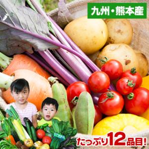 自家用 野菜セット たっぷり12品目 送料無料 熊本 九州 の安心安全 旬野菜 7-14営業日以内に...