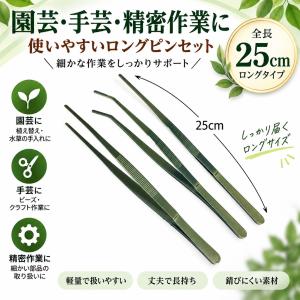 ピンセット 25cm ストレート/カーブ ハーバリウムの商品画像