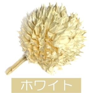 ドライフラワー 花材 材料 千日紅 センニチコ...の詳細画像3