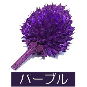 ドライフラワー 花材 材料 千日紅 センニチコ...の詳細画像4