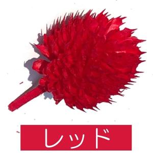ドライフラワー 花材 材料 千日紅 センニチコ...の詳細画像5