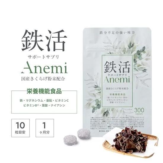 鉄分 サプリ 疲れ 立ちくらみ 貧血 フェリチン 栄養機能食品 腸活 腸内環境 自然由来 鉄活 きく...