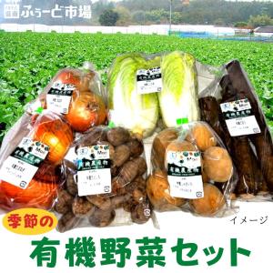 季節の有機野菜セット（新鮮 採れたて 産地直送 農家直送 オーガニック 熊本県産）