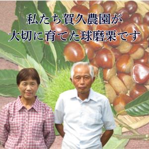 栗 剥き栗 和栗 生栗 フルーツ 果物 送料無...の詳細画像2