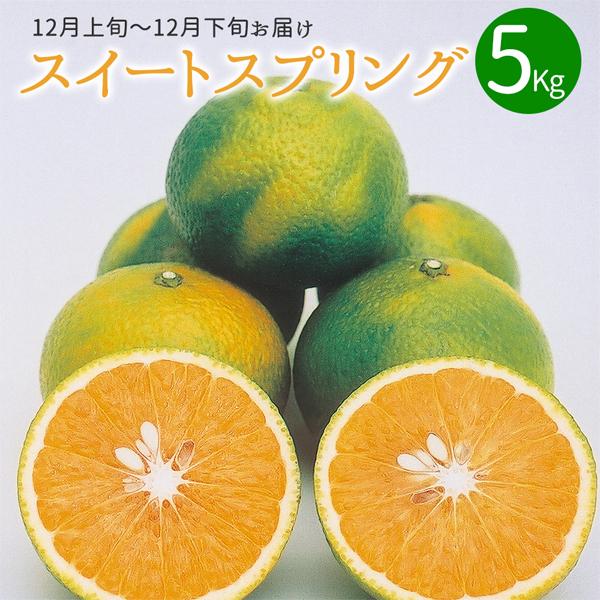 【クーポン利用で20％OFF＆送料無料】スイートスプリング5kg ■12月上旬〜12月下旬お届け