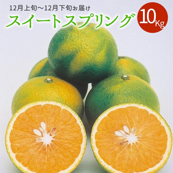 【クーポン利用で20％OFF＆送料無料】スイートスプリング10kg ■12月上旬〜12月下旬お届け
