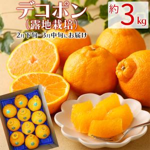 レモン カリフォルニア産 チリ産 約16kg : 産直プレミアム - 通販