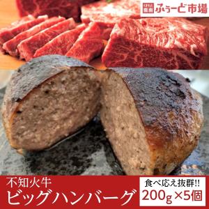 不知火牛ビッグハンバーグ　5個（国産 黒毛和牛 ギフト お取り寄せ 熊本 冷凍 おかず 贈答 お中元 お歳暮）