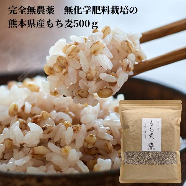 もち麦 有機JAS 国産 無農薬 原さんのもち麦500ｇ 完全無農薬 化学肥料不使用のもち麦 原農場...