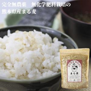 完全無農薬 無化学肥料栽培 原農場のまる麦400g 有機JAS 原さん 国産熊本県産 ぷち麦 プチプチ食感 裸麦 大麦 メール便 無添加 無着色 健康 安全 チャック付き